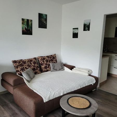 Ferienwohnung Hilde Bad Peterstal-Griesbach Zewnętrze zdjęcie