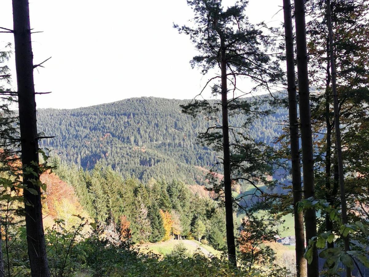 Ferienwohnung Hilde Bad Peterstal-Griesbach Zewnętrze zdjęcie