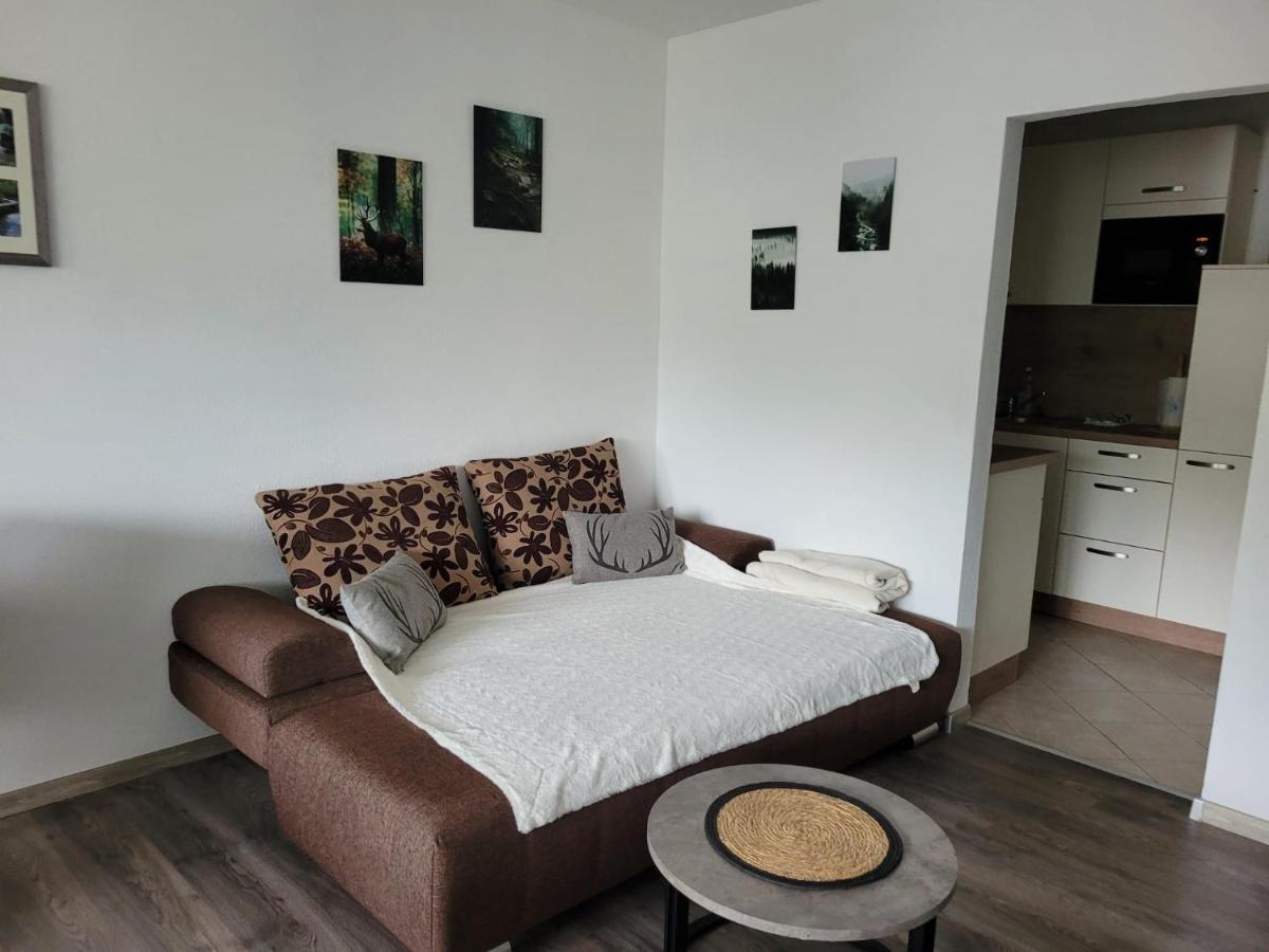 Ferienwohnung Hilde Bad Peterstal-Griesbach Zewnętrze zdjęcie